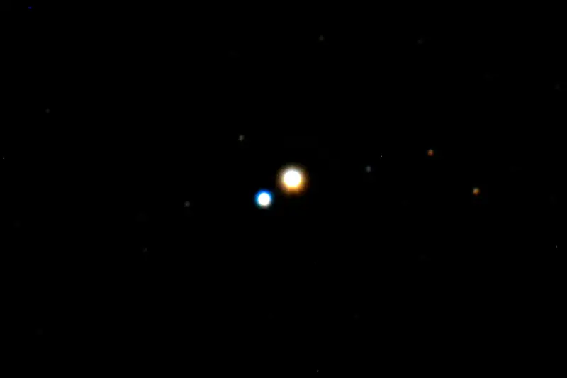 Albireo kaukoputkessa: kirkkaampi kellertävä tähti ja sen vieressä himmeämpi sininen.
